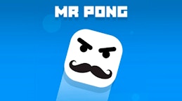 Mr Pong