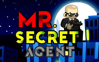 Mr. Secret Agent