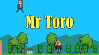Mr Toro game cover