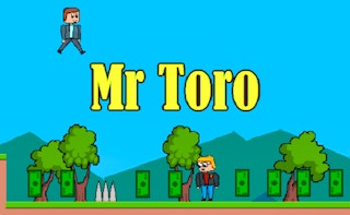 Mr Toro