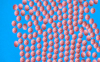 MultiplyBalls