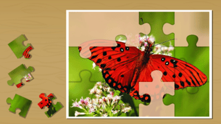 Nature Jigsaw Puzzle Butterfly game cover
