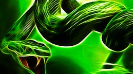 霓虹蛇 (Neon Snake)