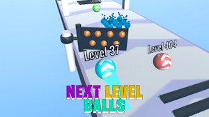 Image for Next Level Balls