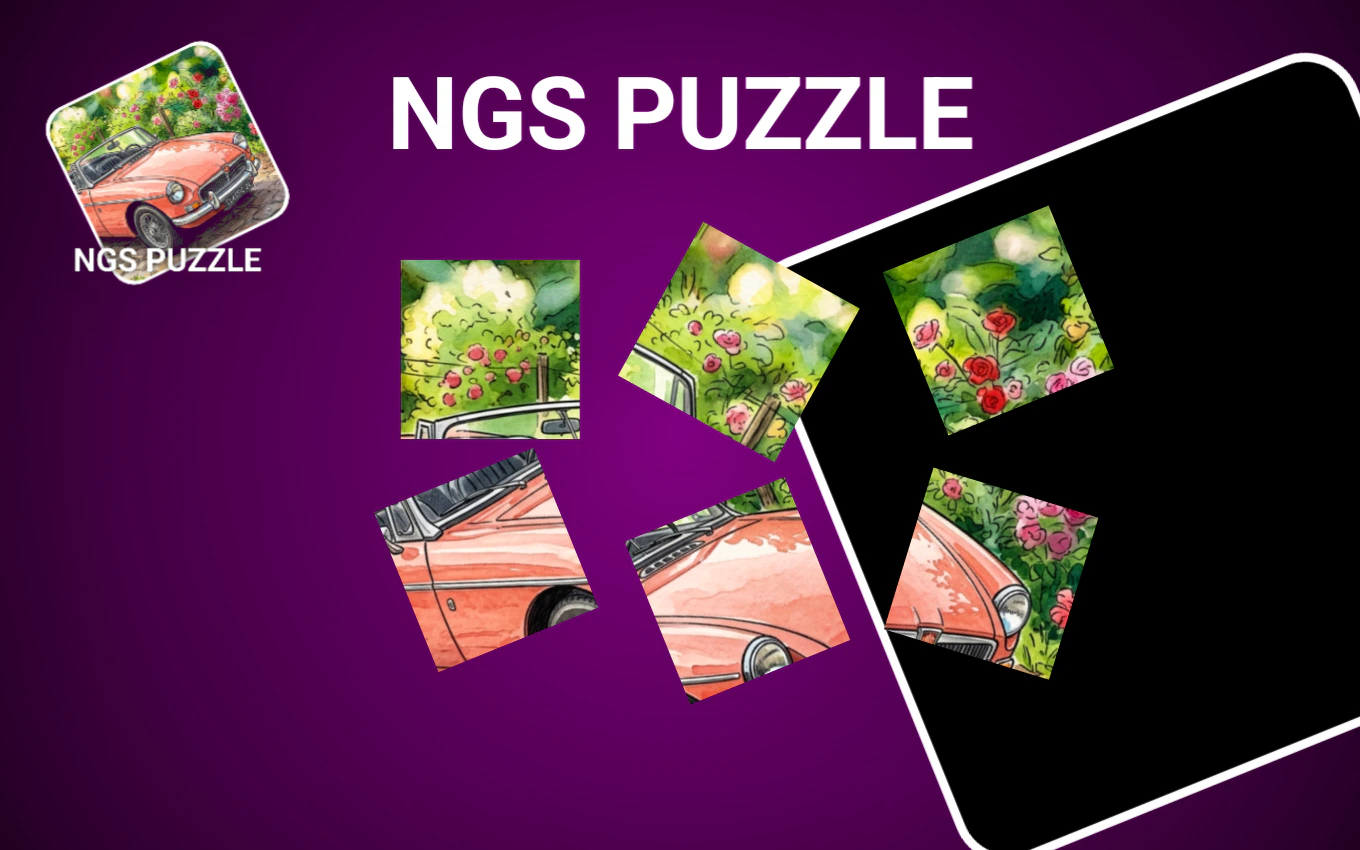 NGS Puzzle