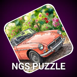 NGS Puzzle
