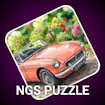 NGS Puzzle