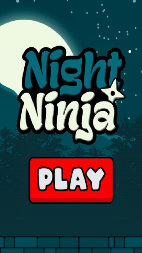 Night Ninja