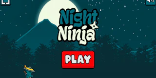 Night Ninja thumbnail