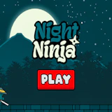 Night Ninja