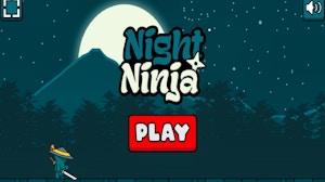 Image for Night Ninja