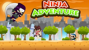 Image for Ninja Adventure