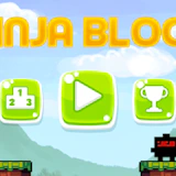 Ninja Blocks
