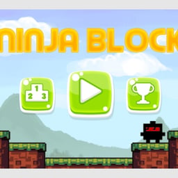 Ninja Blocks Online racing Games on taptohit.com