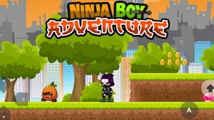 Image for Ninja Boy Adventure