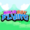 Ninja Boy Flying banner