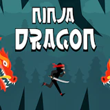 Ninja Dragon
