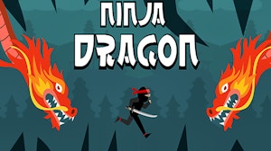 Image for Ninja Dragon