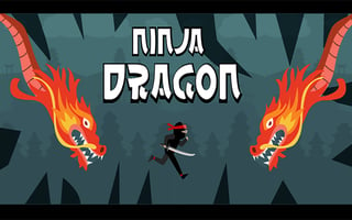 Ninja Dragon game cover