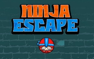 Ninja Escape