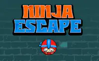 Escape Ninja