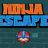 Ninja Escape