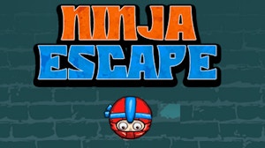 Image for Ninja Escape