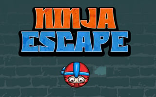 Ninja Escape game cover