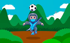 Ninja Head Ball