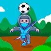 Ninja Head Ball banner