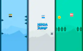Ninja Zıpla