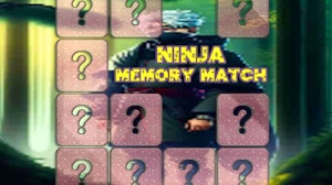 Image for Ninja Memory Match