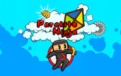 Ninja Parakite