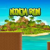 Ninja Run Jump
