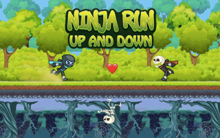 Ninja Run Up And Down game cover