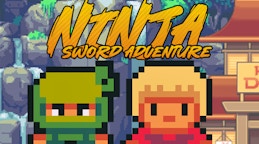 Ninja Sword Adventure