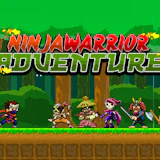 Ninja Warrior Adventure