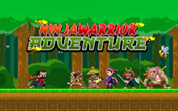 Ninja Warrior Adventure