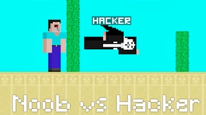 Image for Noob vs Hacker