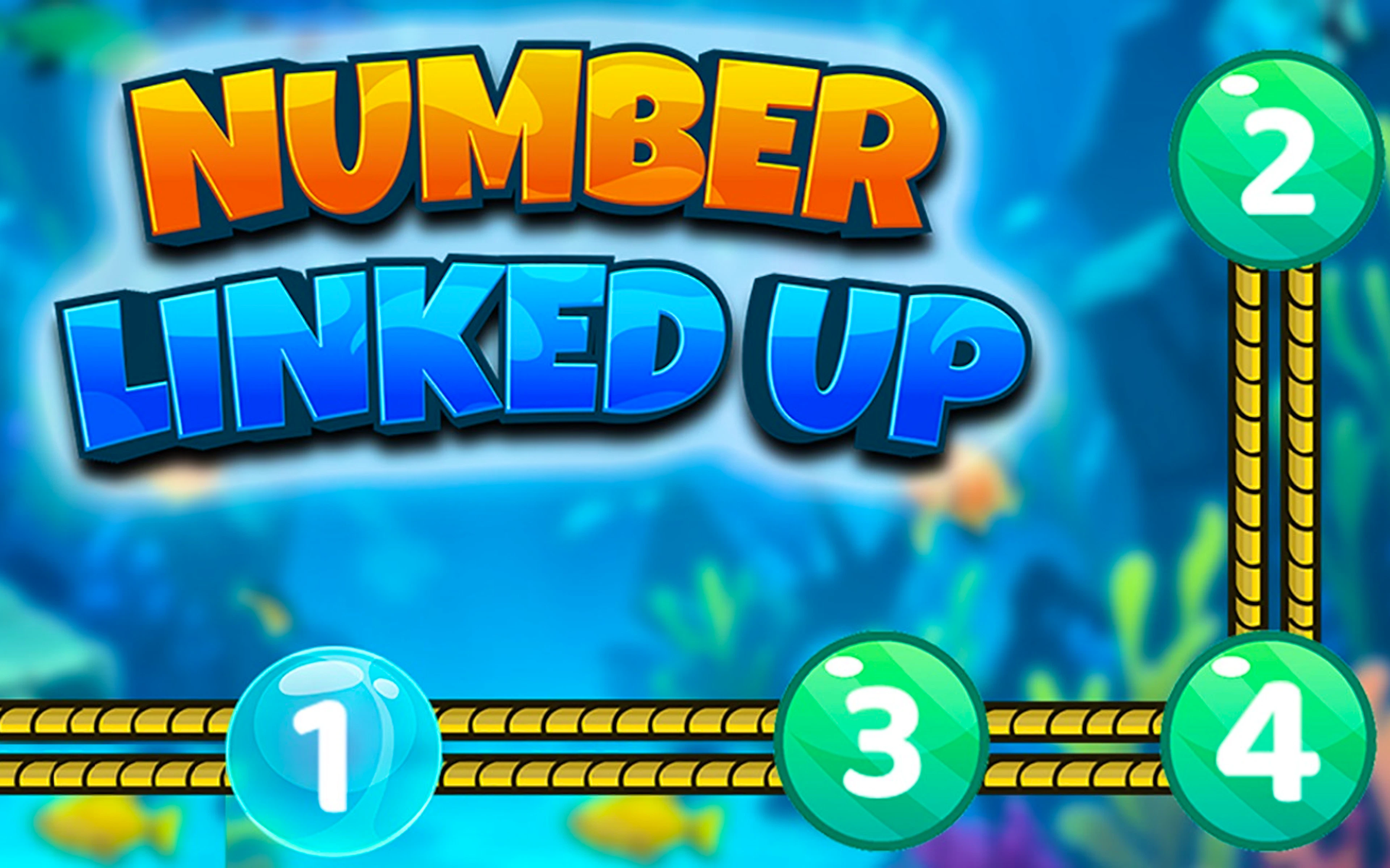 Number Linked Up