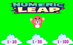 Numeric Leap