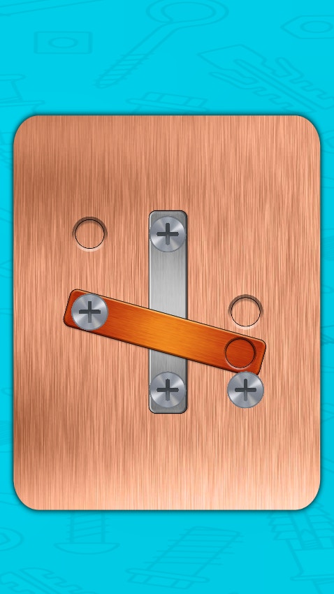 Nut & Bolt Steel Screw Puzzle