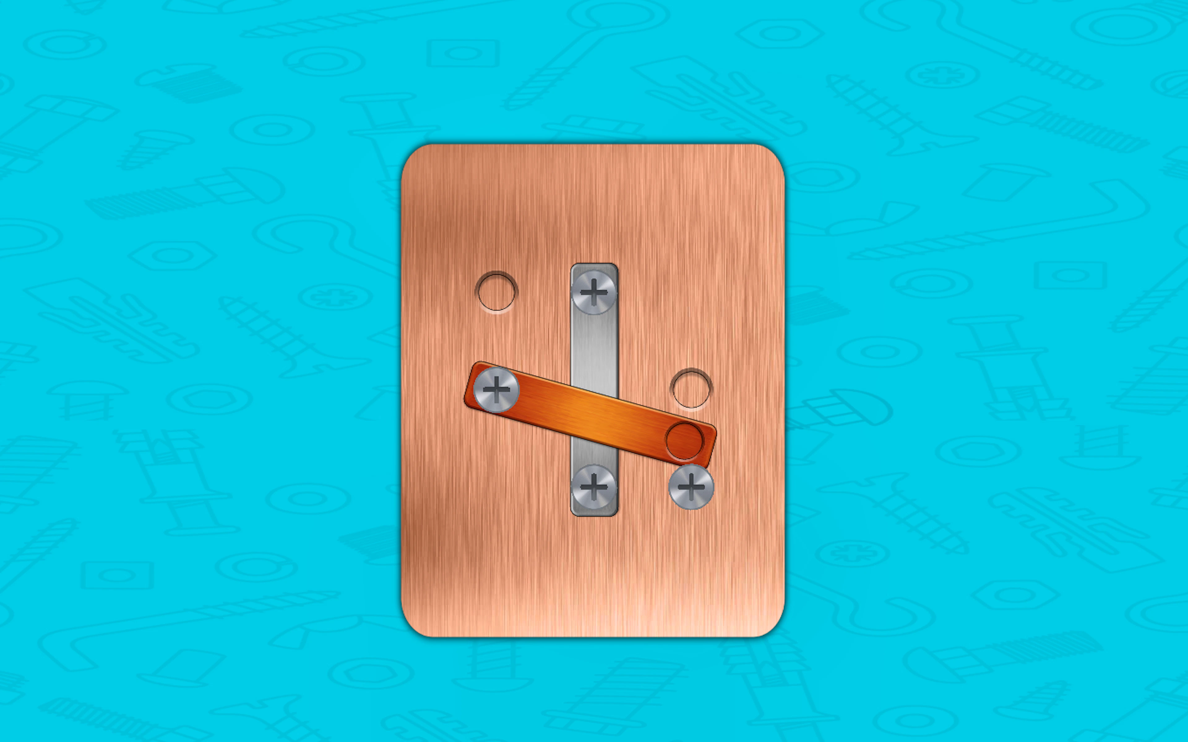 Nut & Bolt Steel Screw Puzzle
