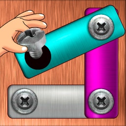 Nut & Bolt Steel Screw Puzzle