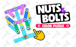 Nuts and Bolts - Color Puzzle