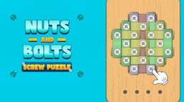 Nuts And Bolts Screw Puzzle