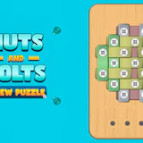 Nuts And Bolts Screw Puzzle