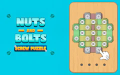 Nuts And Bolts Screw Puzzle