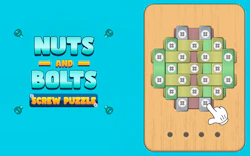 Nuts And Bolts Screw Puzzle