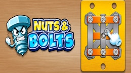 Nuts & Bolts Unscrew Puzzle